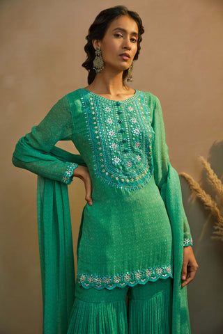 Aneesh Agarwaal-Emerald Green Printed Kurta Set-INDIASPOPUP.COM