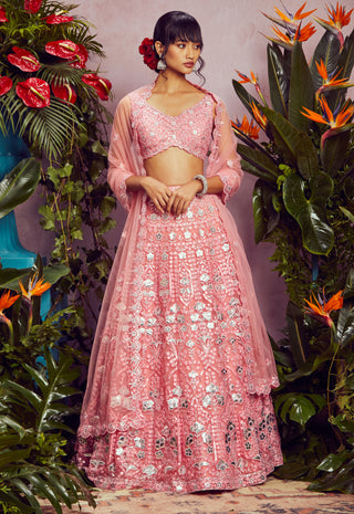 Aneesh Agarwaal-Pink Embellished Net Lehenga Set-INDIASPOPUP.COM