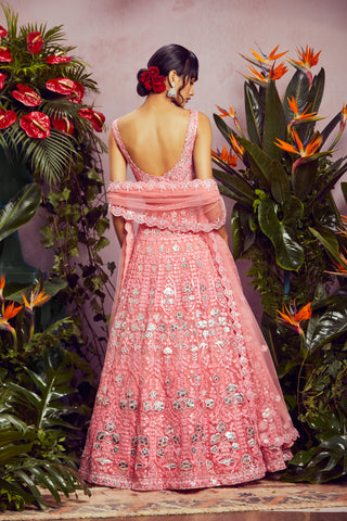 Aneesh Agarwaal-Pink Embellished Net Lehenga Set-INDIASPOPUP.COM