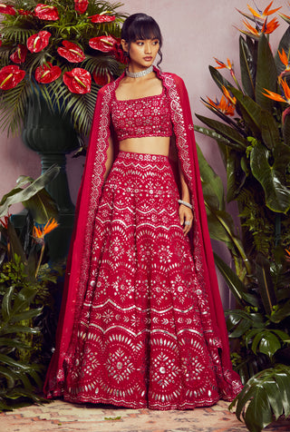 Aneesh Agarwaal-Ruby Mirror Lehenga Set-INDIASPOPUP.COM