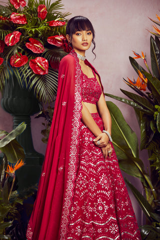 Aneesh Agarwaal-Ruby Mirror Lehenga Set-INDIASPOPUP.COM