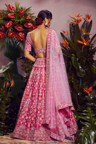 Aneesh Agarwaal-Fuchsia Pink Zardosi Lehenga Set-INDIASPOPUP.COM