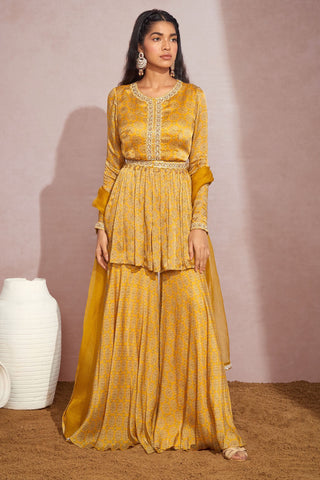 Aneesh Agarwaal-Mustard Yellow Cicrles Peplum And Sharara-INDIASPOPUP.COM