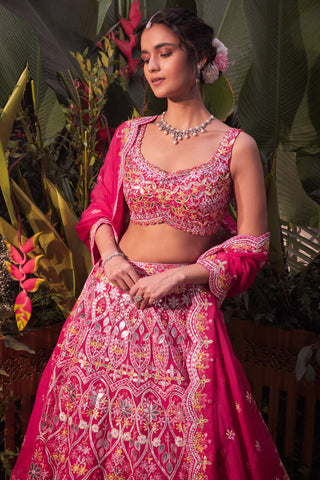 Aneesh Agarwaal-Rani Pink Floral Lehenga Set-INDIASPOPUP.COM