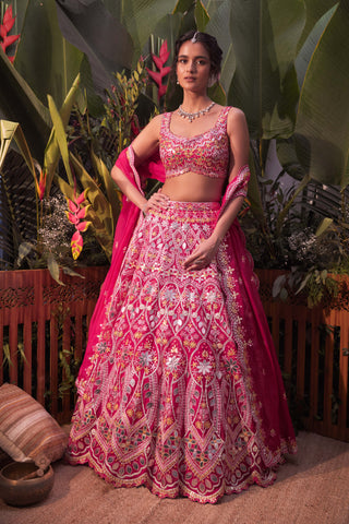 Aneesh Agarwaal-Rani Pink Floral Lehenga Set-INDIASPOPUP.COM