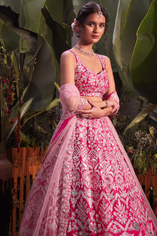 Aneesh Agarwaal-Rani Pink Silk Lehenga Set-INDIASPOPUP.COM
