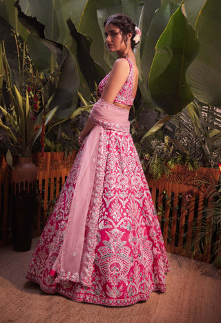 Aneesh Agarwaal-Rani Pink Silk Lehenga Set-INDIASPOPUP.COM