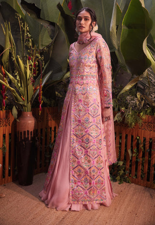Aneesh Agarwaal-Peach Organza Jacket Skirt Set-INDIASPOPUP.COM