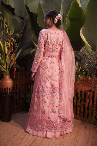 Aneesh Agarwaal-Peach Organza Jacket Skirt Set-INDIASPOPUP.COM
