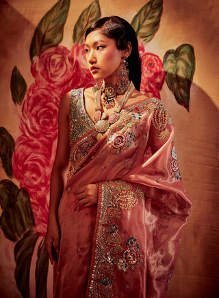 Aisha Rao-Pink Blue Saree Set-INDIASPOPUP.COM