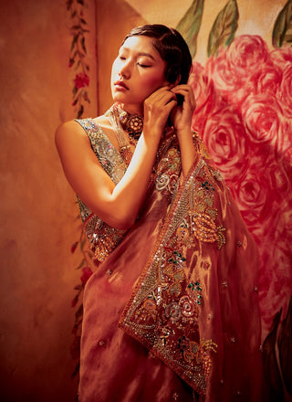 Aisha Rao-Pink Blue Saree Set-INDIASPOPUP.COM