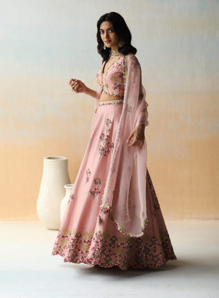 Aman Takyar-Onion Pink Lehenga Set-INDIASPOPUP.COM