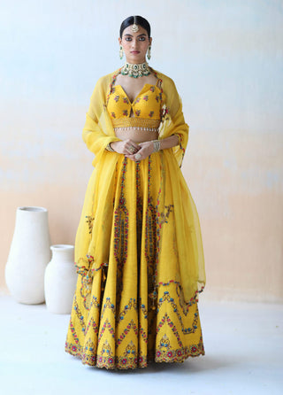 Aman Takyar-Mango Yellow Lehenga Set-INDIASPOPUP.COM