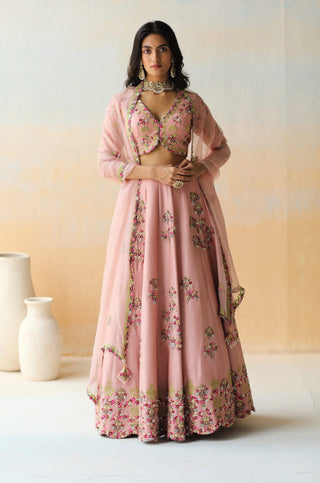 Aman Takyar-Onion Pink Lehenga Set-INDIASPOPUP.COM
