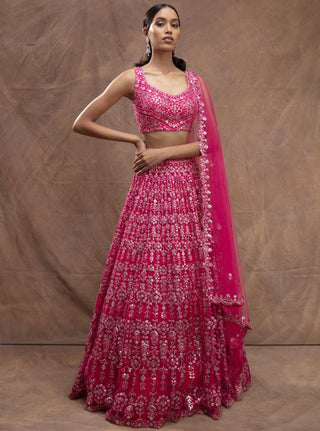 Aneesh Agarwaal-Fuchsia Foil Applique Lehenga Set-INDIASPOPUP.COM