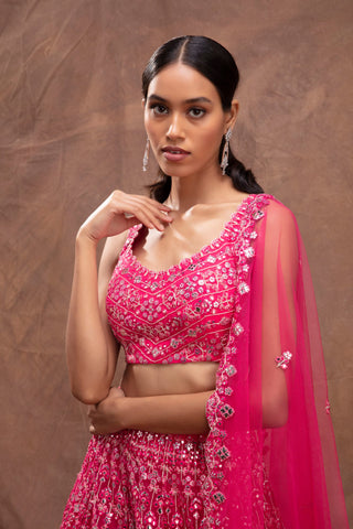 Aneesh Agarwaal-Fuchsia Foil Applique Lehenga Set-INDIASPOPUP.COM