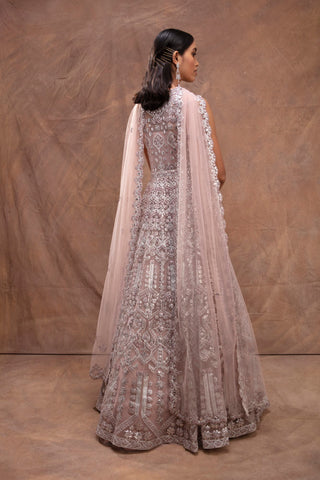 Aneesh Agarwaal-Nude Embroidered Jacket And Lehenga Set-INDIASPOPUP.COM