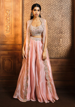 Aneesh Agarwaal-Salmon Pink Zardosi Cape And Sharara Set-INDIASPOPUP.COM