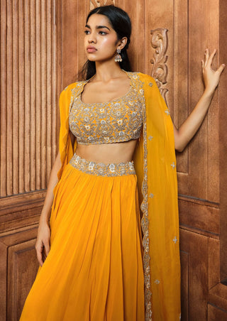 Aneesh Agarwaal-Mango Yellow Embroidered Lehenga And Cape Set-INDIASPOPUP.COM