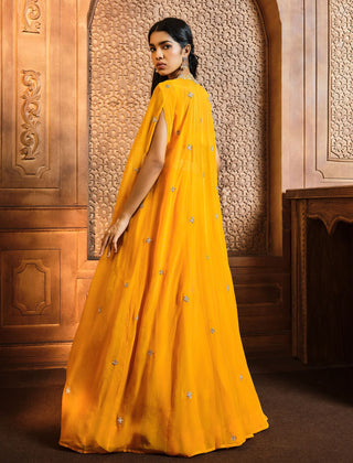 Aneesh Agarwaal-Mango Yellow Embroidered Lehenga And Cape Set-INDIASPOPUP.COM