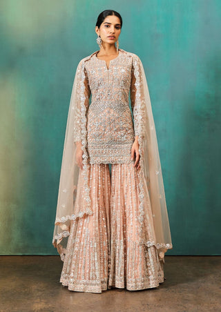 Aneesh Agarwaal-Nude Foil Applique Sharara Set-INDIASPOPUP.COM