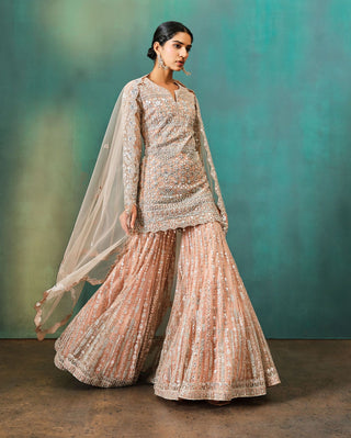 Aneesh Agarwaal-Nude Foil Applique Sharara Set-INDIASPOPUP.COM