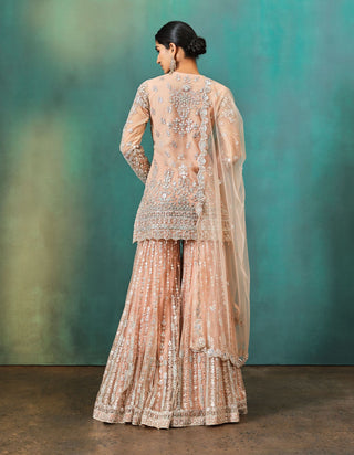 Aneesh Agarwaal-Nude Foil Applique Sharara Set-INDIASPOPUP.COM