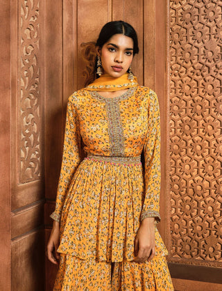 Aneesh Agarwaal-Yellow Floral Peplum Sharara Set-INDIASPOPUP.COM