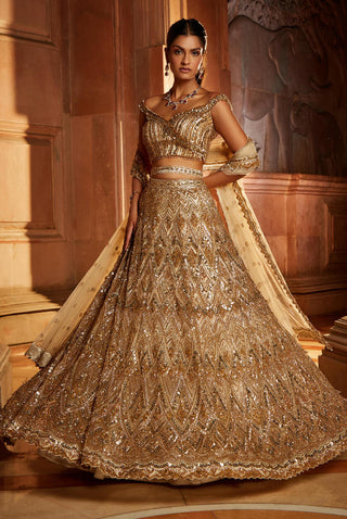 Nitika Gujral-Champagne Gold Tulle Lehenga Set-INDIASPOPUP.COM