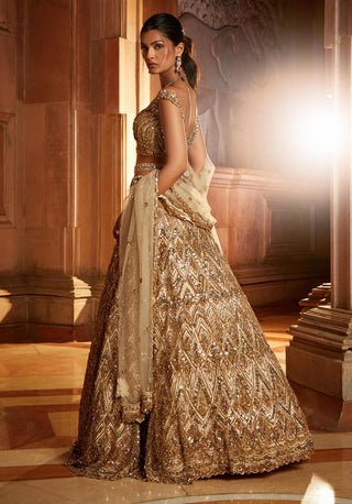 Nitika Gujral-Champagne Gold Tulle Lehenga Set-INDIASPOPUP.COM