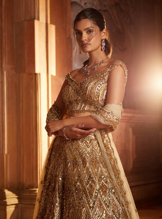 Nitika Gujral-Champagne Gold Tulle Lehenga Set-INDIASPOPUP.COM