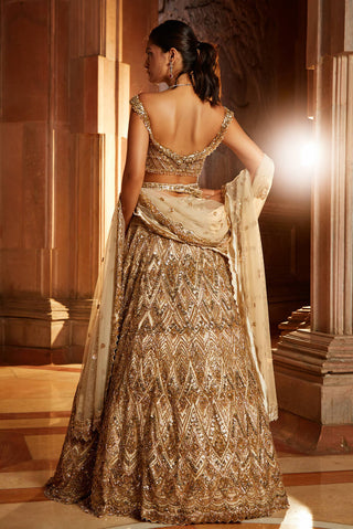 Nitika Gujral-Champagne Gold Tulle Lehenga Set-INDIASPOPUP.COM