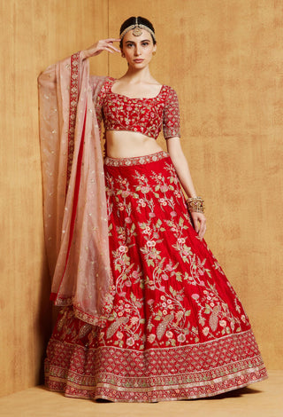 Chamee And Palak-Red Peacock Lehenga Set-INDIASPOPUP.COM
