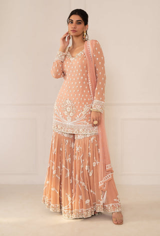 Mani Bhatia-Peach Pink Embroidered Gharara Set-INDIASPOPUP.COM