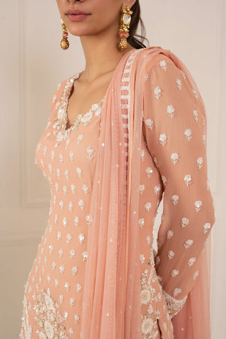 Mani Bhatia-Peach Pink Embroidered Gharara Set-INDIASPOPUP.COM
