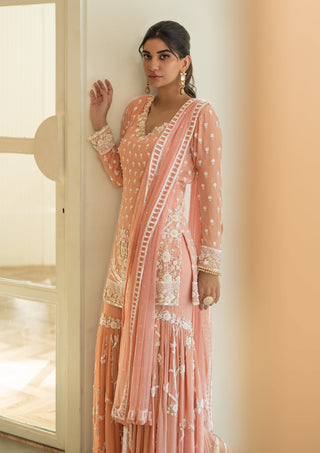 Mani Bhatia-Peach Pink Embroidered Gharara Set-INDIASPOPUP.COM