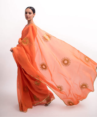 Kapardara-Orange Silk Organza Sari-INDIASPOPUP.COM