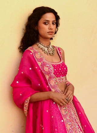 Chamee And Palak-Faith Pink Silk Embroidered Lehenga Set-INDIASPOPUP.COM