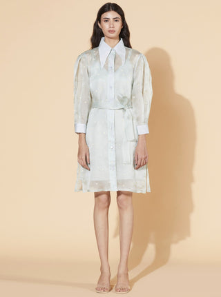 Meadow-Green Mist Windflower Dress-INDIASPOPUP.COM