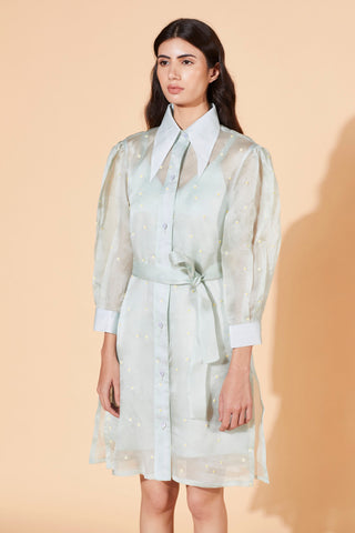 Meadow-Green Mist Windflower Dress-INDIASPOPUP.COM