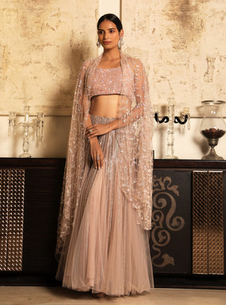Niharika Kamani-Peach Blouse & Lehenga With Dupatta-INDIASPOPUP.COM