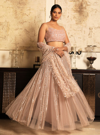 Niharika Kamani-Peach Blouse & Lehenga With Dupatta-INDIASPOPUP.COM