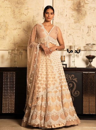 Niharika Kamani-Beige Lehenga Set & Dupatta-INDIASPOPUP.COM