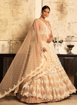Niharika Kamani-Beige Lehenga Set & Dupatta-INDIASPOPUP.COM