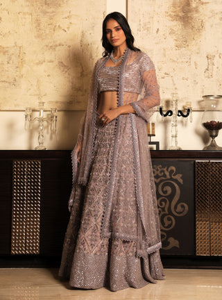 Niharika Kamani-Purple Bustier & Lehenga With Dupatta-INDIASPOPUP.COM