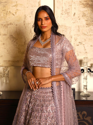 Niharika Kamani-Purple Bustier & Lehenga With Dupatta-INDIASPOPUP.COM