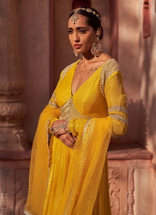 Nidhika Shekhar-Yellow Basant Rani Anarkali With Dupatta-INDIASPOPUP.COM