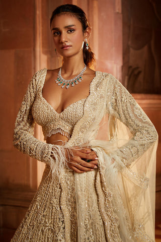 Nitika Gujral-Ivory Tulle Lehenga Choli Set-INDIASPOPUP.COM