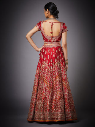Ri.Ritu Kumar-Red Saffron Lehenga Set-INDIASPOPUP.COM