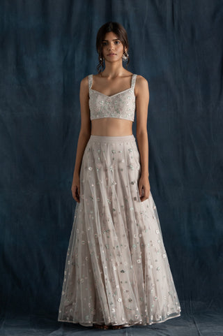 Lavanya Ahuja-Soft Grey Embroidered Lehenga Set-INDIASPOPUP.COM
